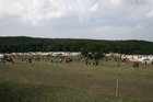df2006_071.jpg