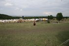 df2006_072.jpg