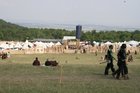 df2006_130.jpg