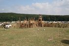 df2006_195.jpg
